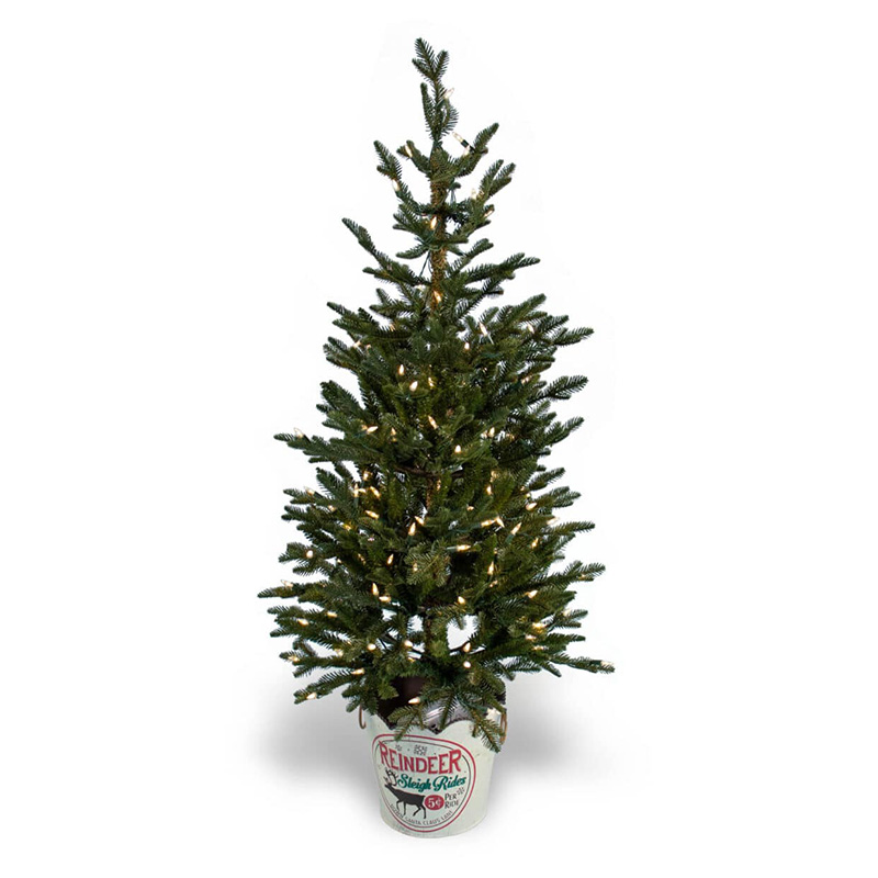 48" LED PINE TREE IN TIN POT