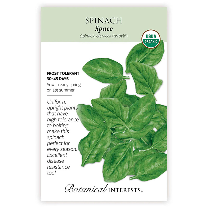 SPINACH SPACE HYBRID