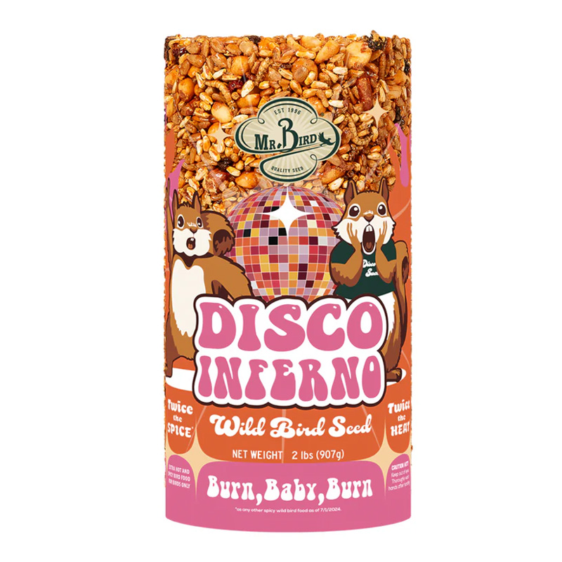 DISCO INFERNO SM CYLINDER