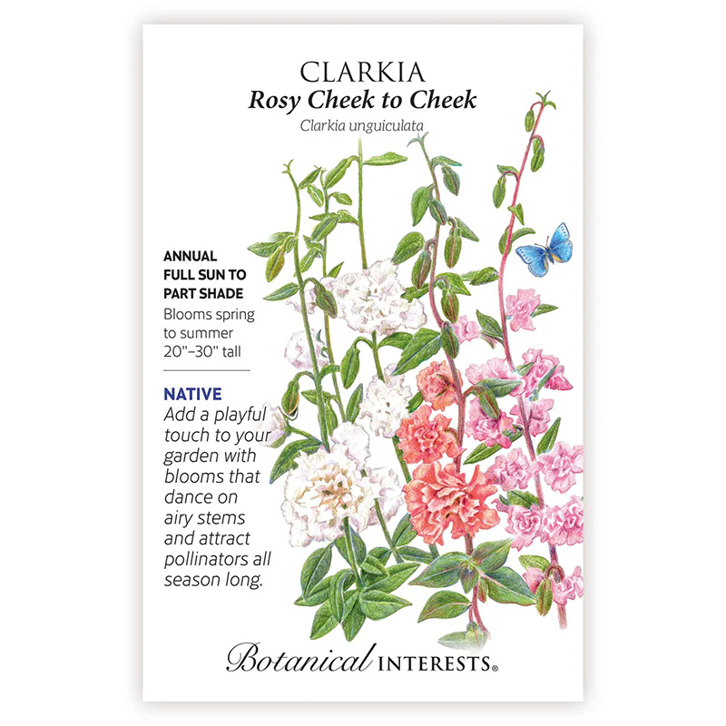 CLARKIA ROSY CHEEK TO CHEEK