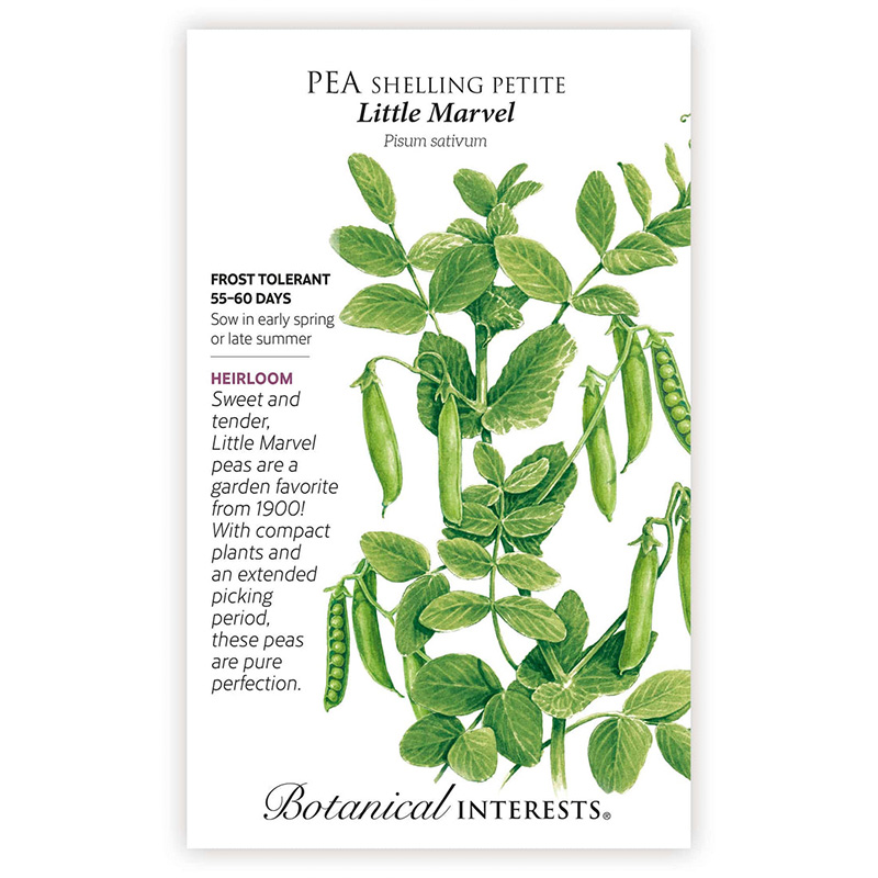 PEA SHELLING PETITE LITTLE MARVL