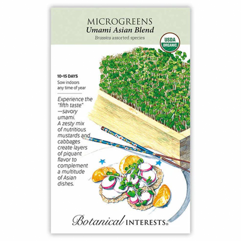 Microgreen Umami Asian Blnd Org