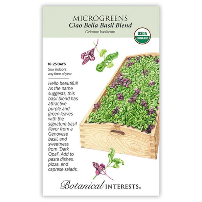 Microgreen CiaoBella Basil Bld O