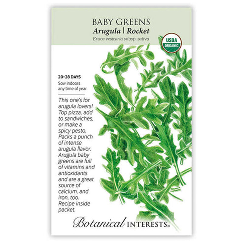 Baby Greens Arugula Org
