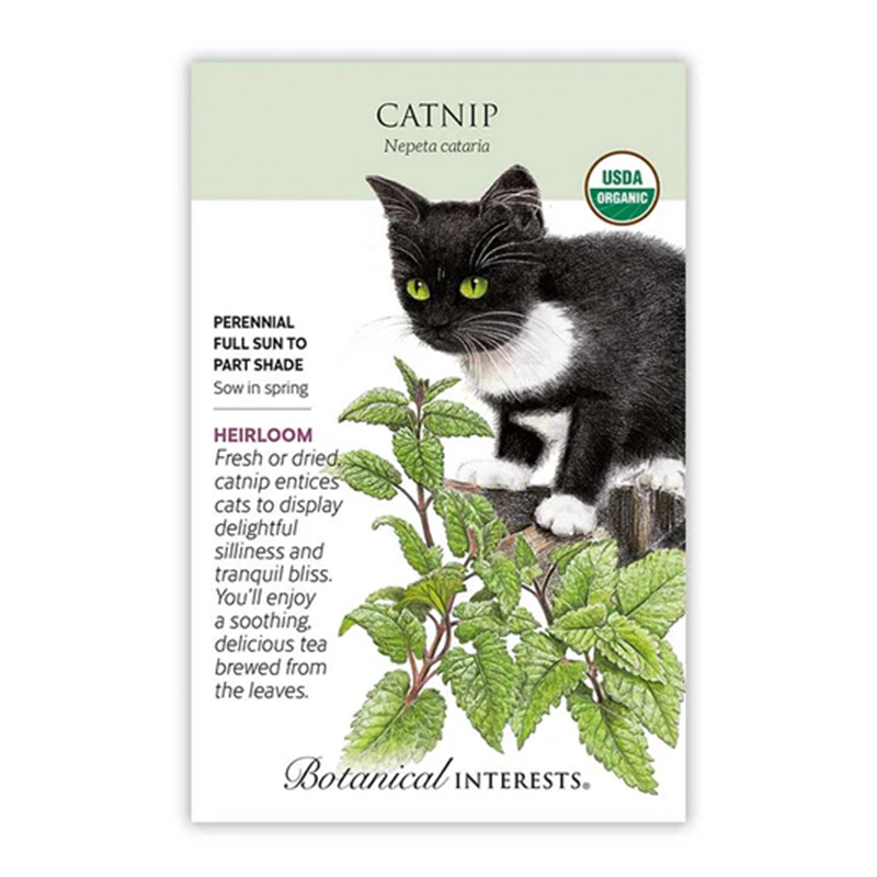 Catnip Org