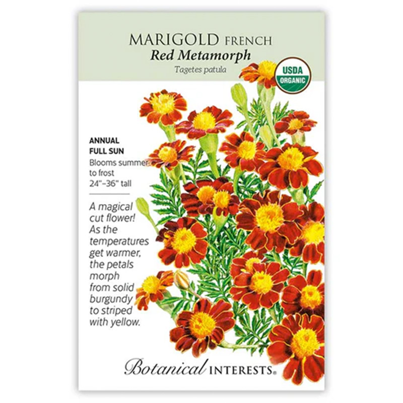 Marigold French RedMetamrph Org