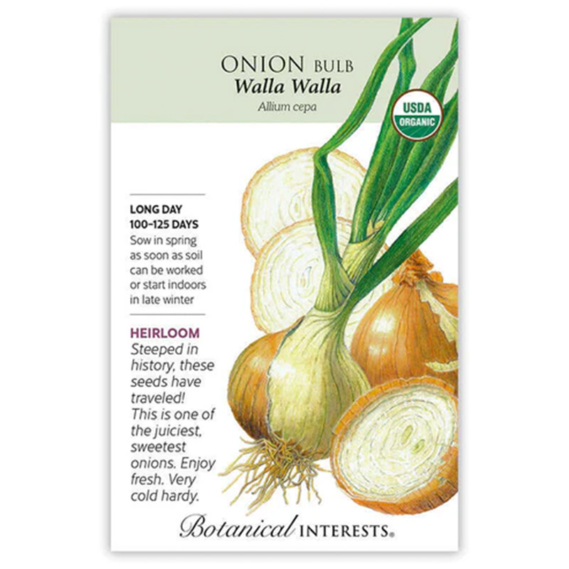 Onion Bulb Ylw WallaWalla Org (L