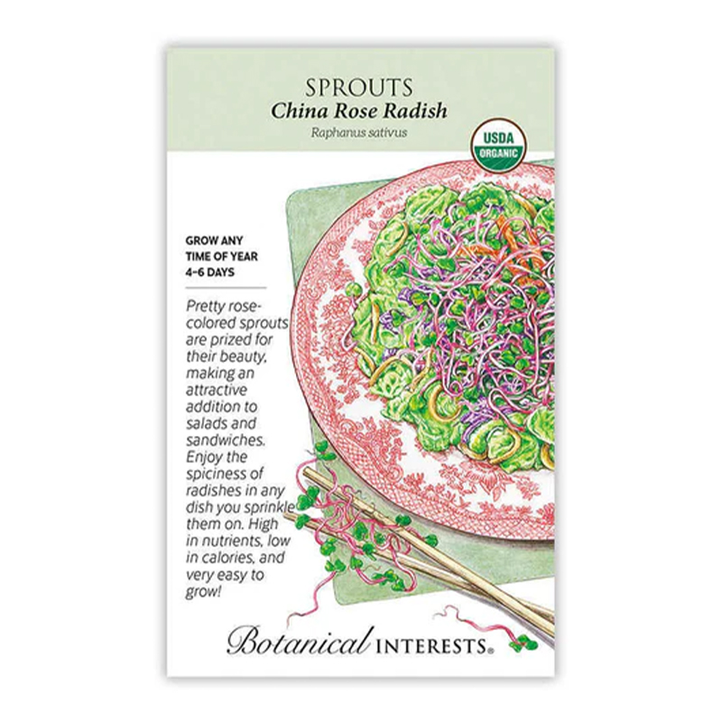 Sprouts Radish China Rose Org