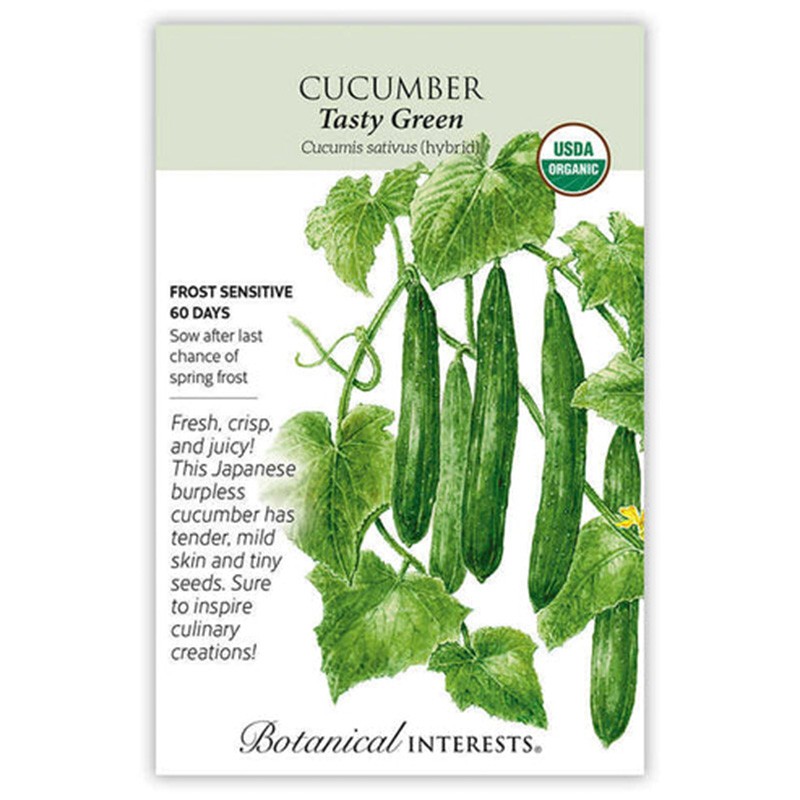 Cucumber Tasty Green Org