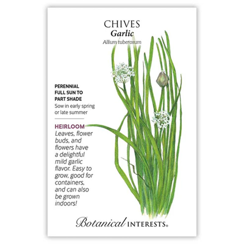 Chives Garlic