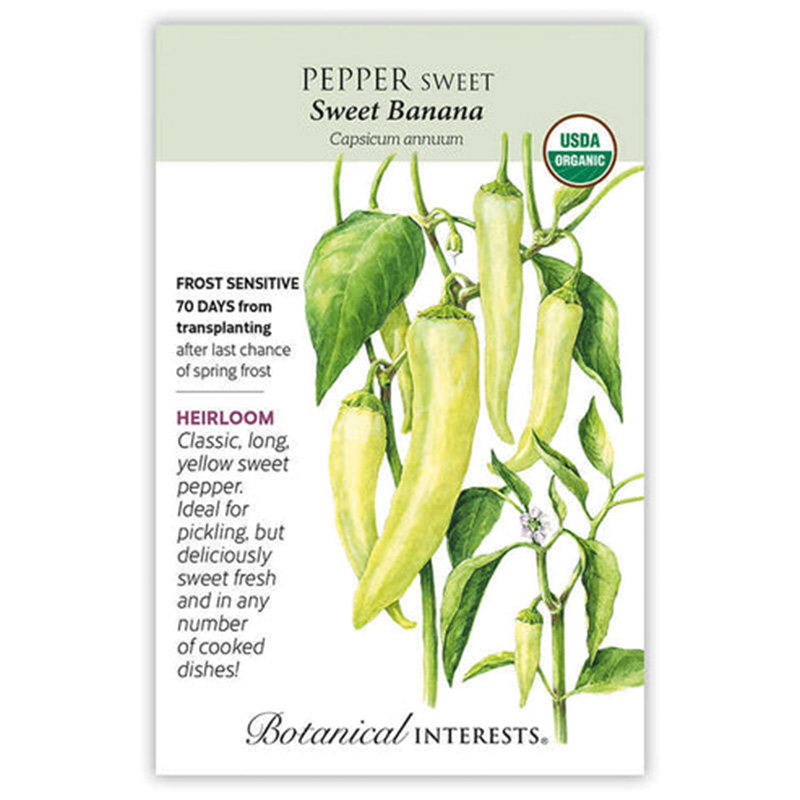 PEPPER SWEET BANANA ORG