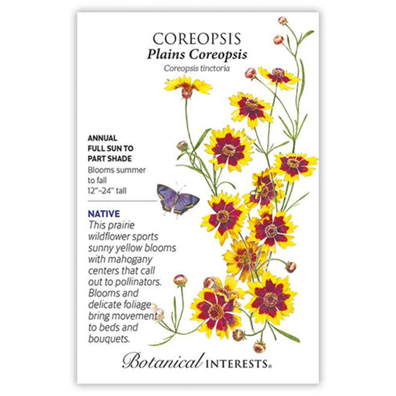 Coreopsis Plains