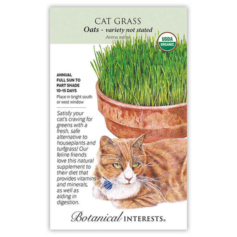 CAT GRASS MIX ORG