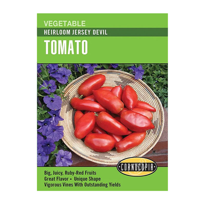 TOMATO JERSEY DEVIL