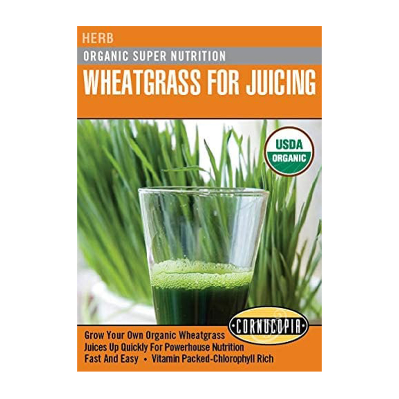 WHEATGRASS FOR JUICING ORGANIC
