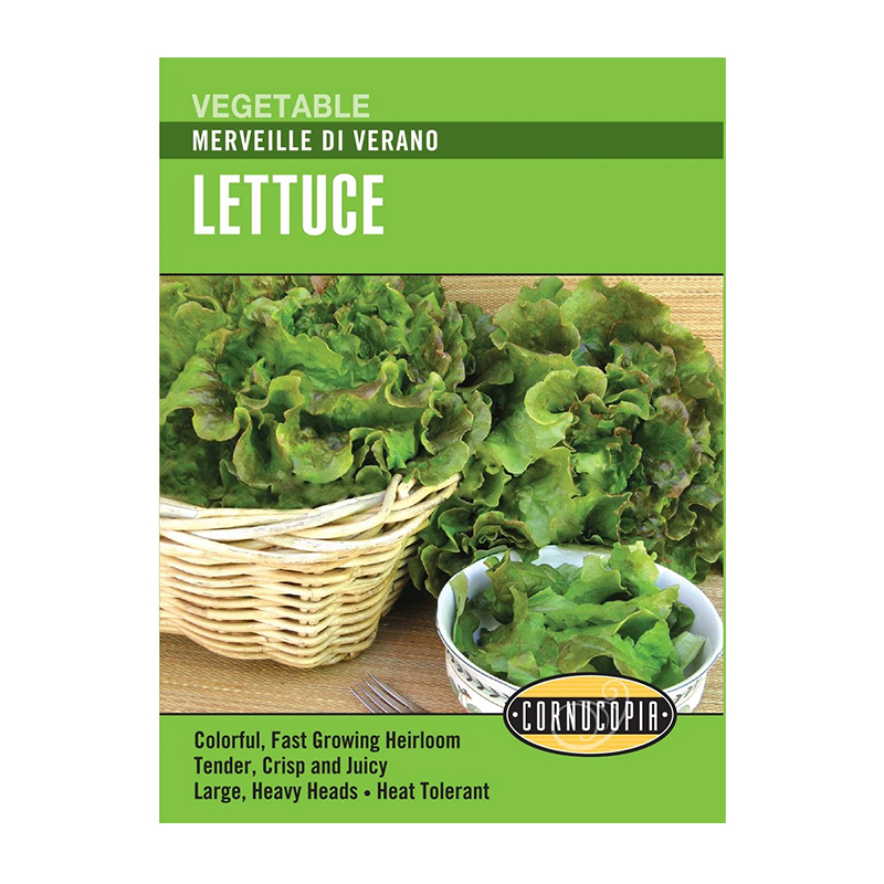 LETTUCE MERVEILLES DI VERANO