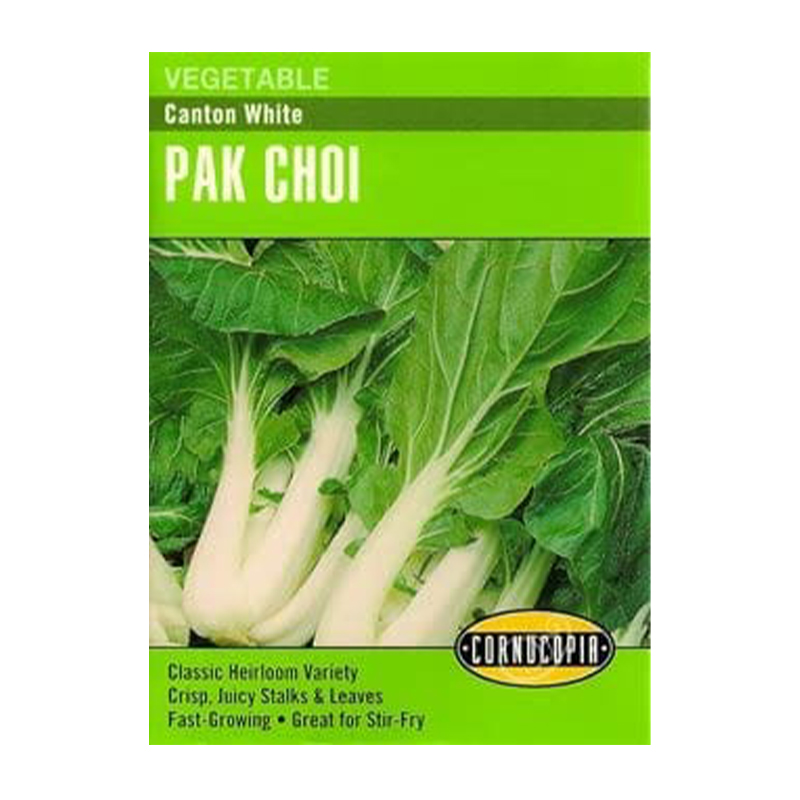 PAK CHOI CANTONG WHITE