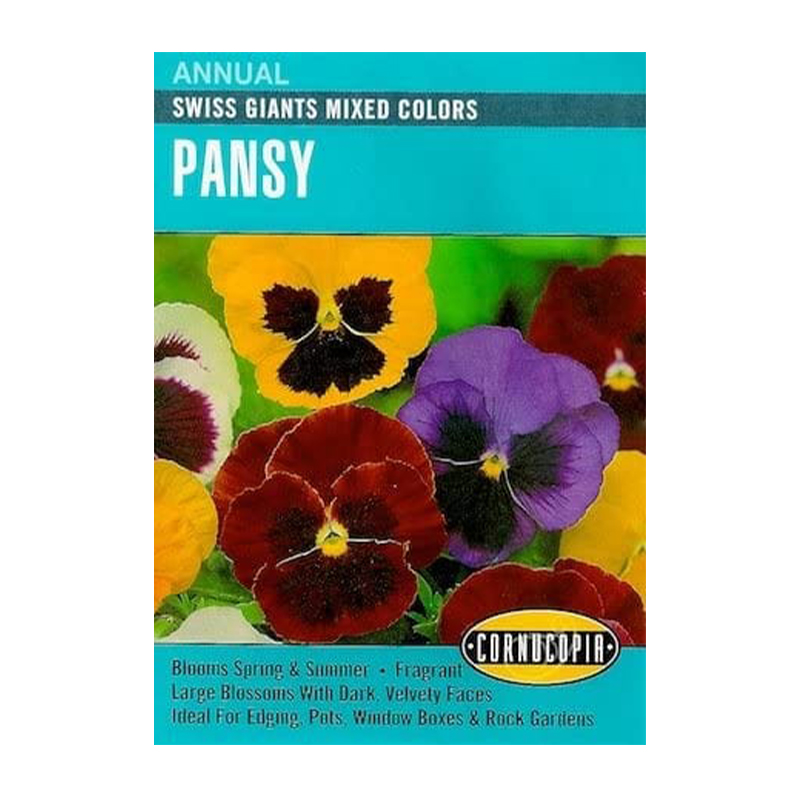 PANSEY SWISS GIANTS MIXED