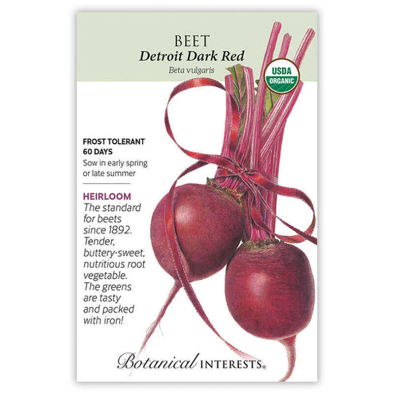 BEET RED DETROIT DARK