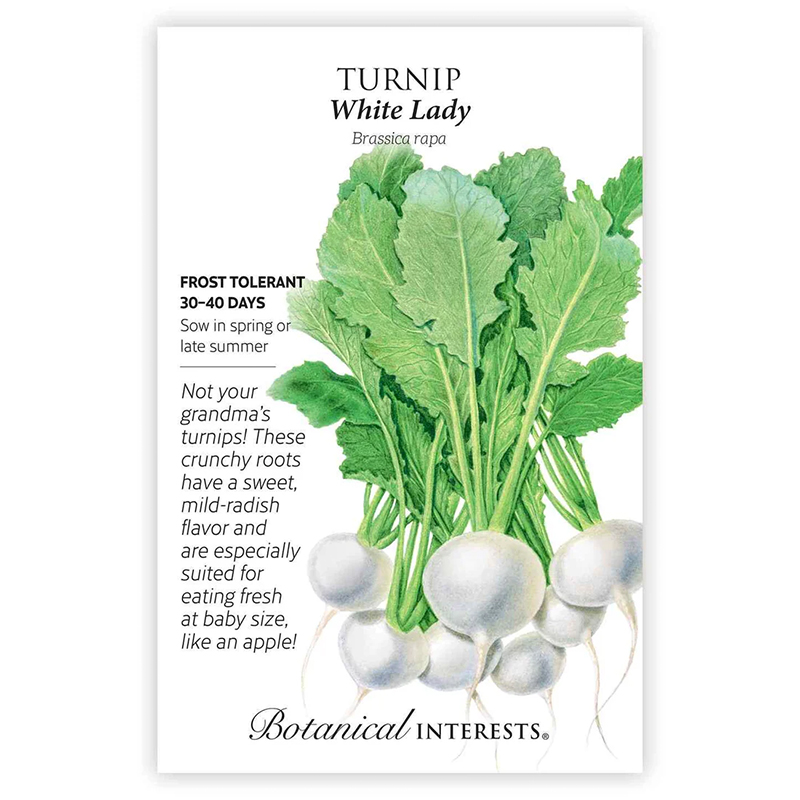 Turnip White Lady