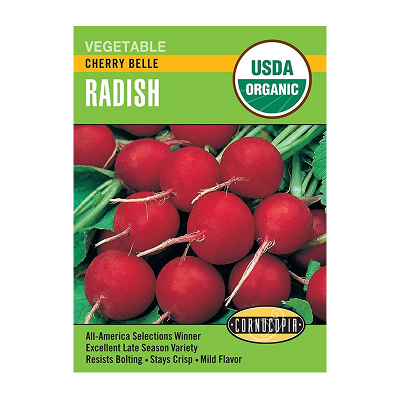 RADISH CHERRY BELLE ORGANIC