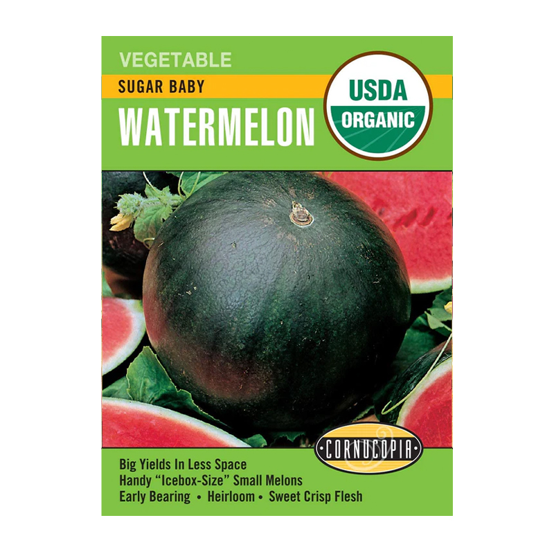 WATERMELON SUGAR BABY ORGANIC