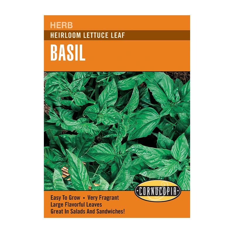 BASIL LETTUCE LEAF