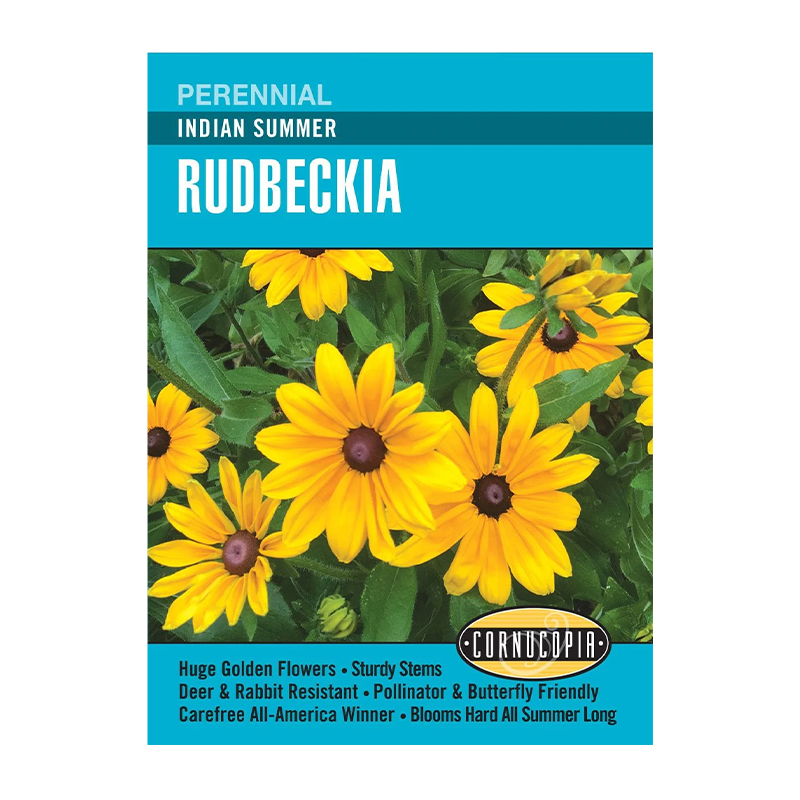 RUDBECKIA INDIAN SUMMER