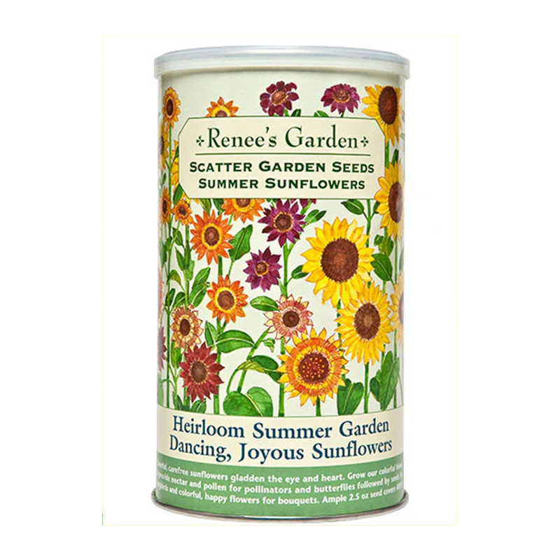 SCATTER CAN GARDEN SUNFLOWERS