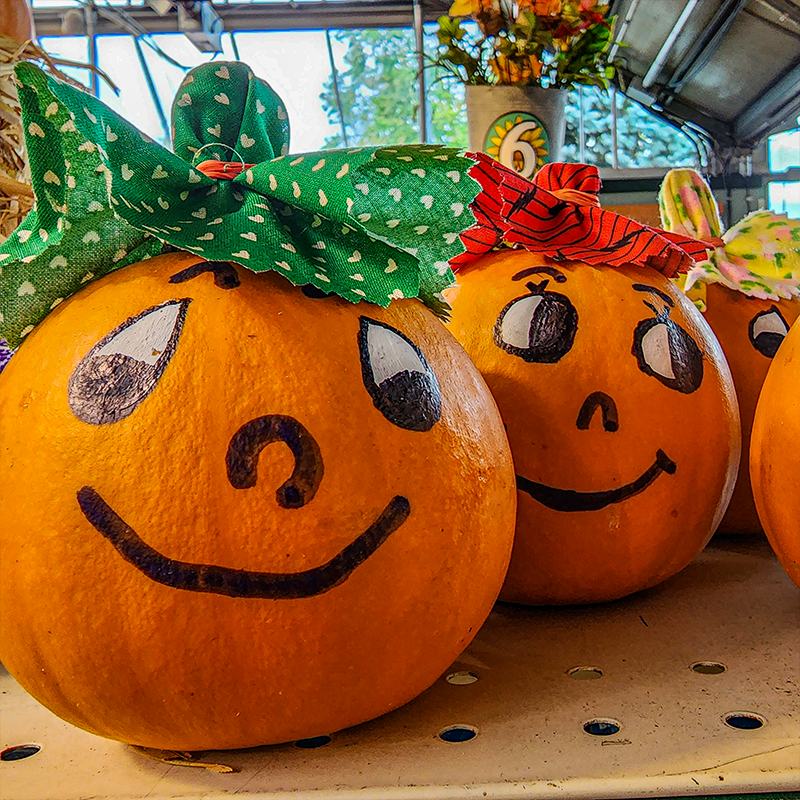 PAINTED FACED PUMPKINS