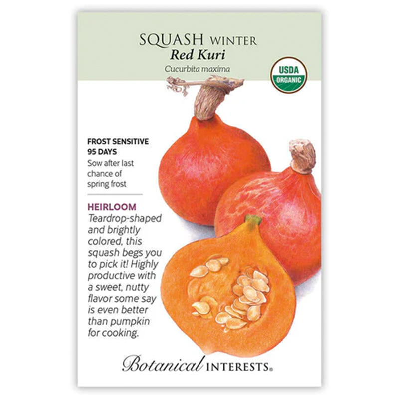 SQUASH WINTER WALTHAM BUTTER ORG