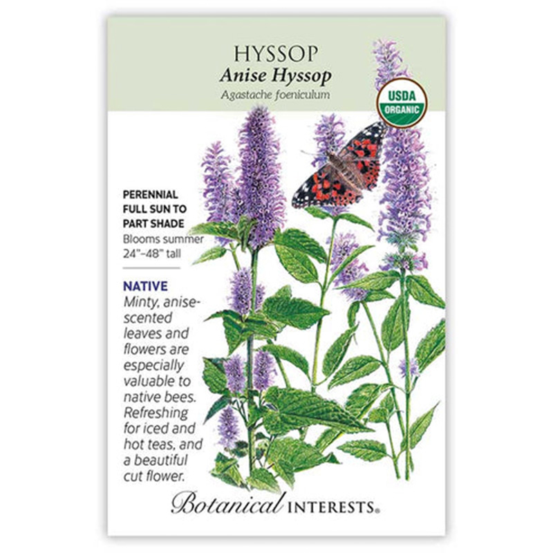 HYSSOP ANISE ORG