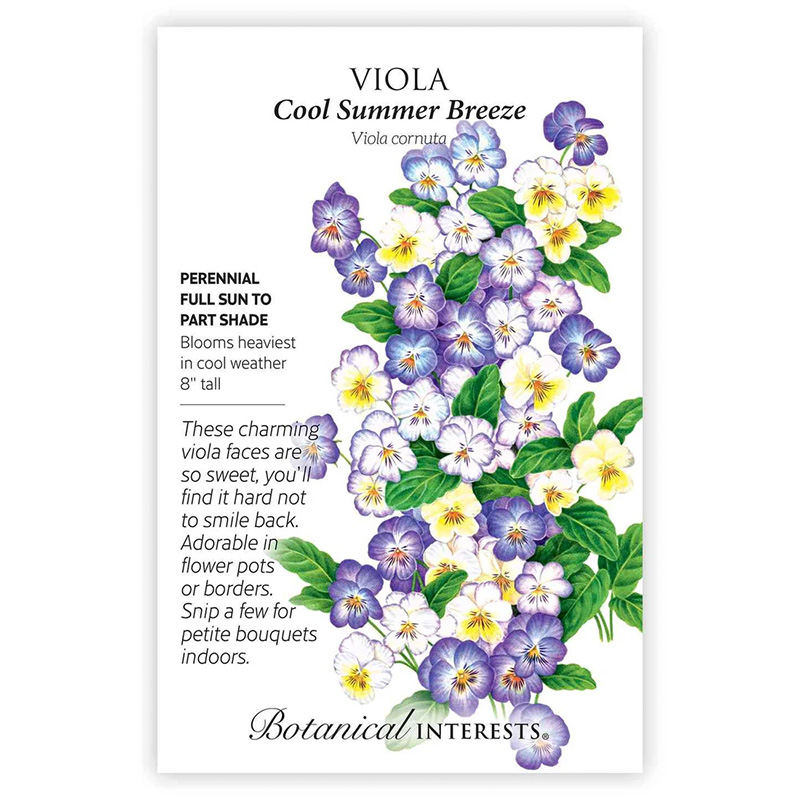 VIOLA COOL SUMMER BREEZE
