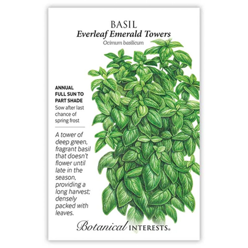 Basil Everleaf Six Emerald Tower