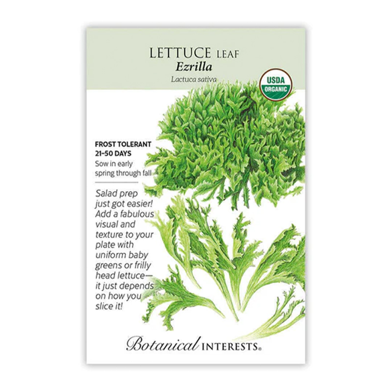 LETTUCE EAZYLEAF EXRILLA ORG