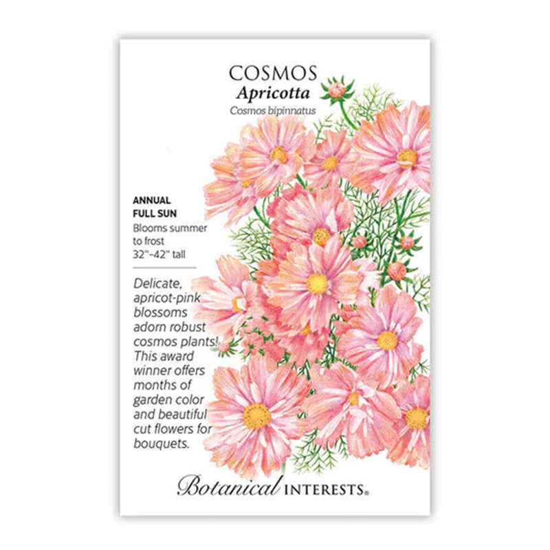 Cosmos Apricotta