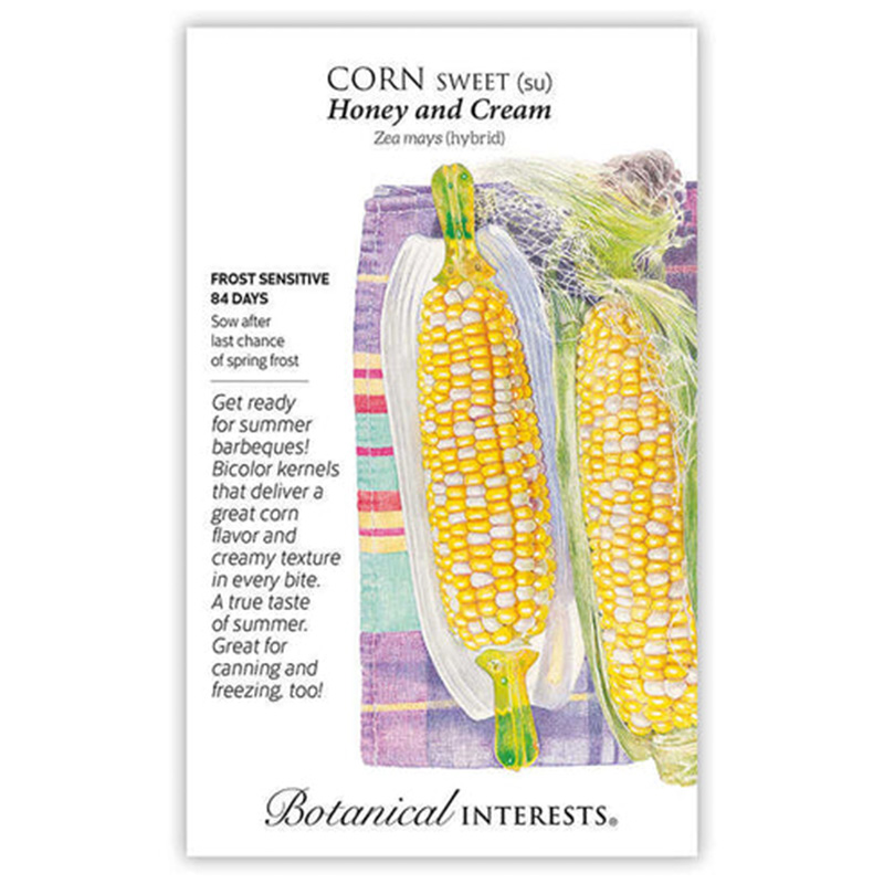 CORN SWEET BICOLOR HONEY