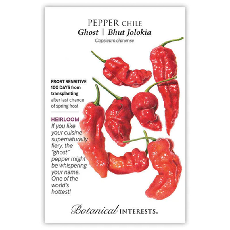 PEPPER CHILI GHOST
