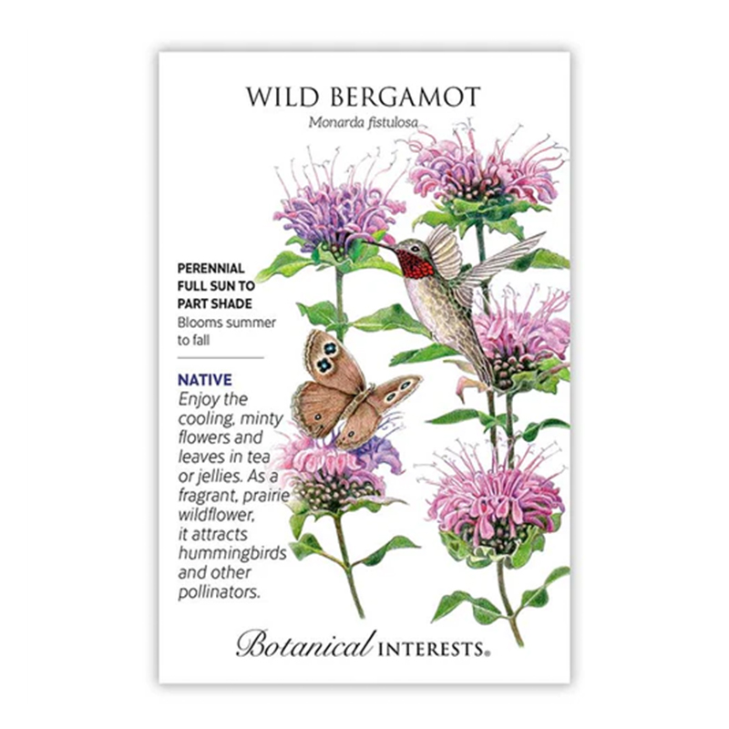 WILD BERGAMOT