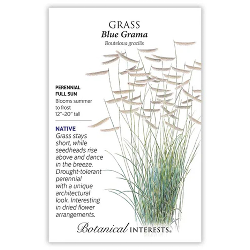 GRASS BLUE GRAMA