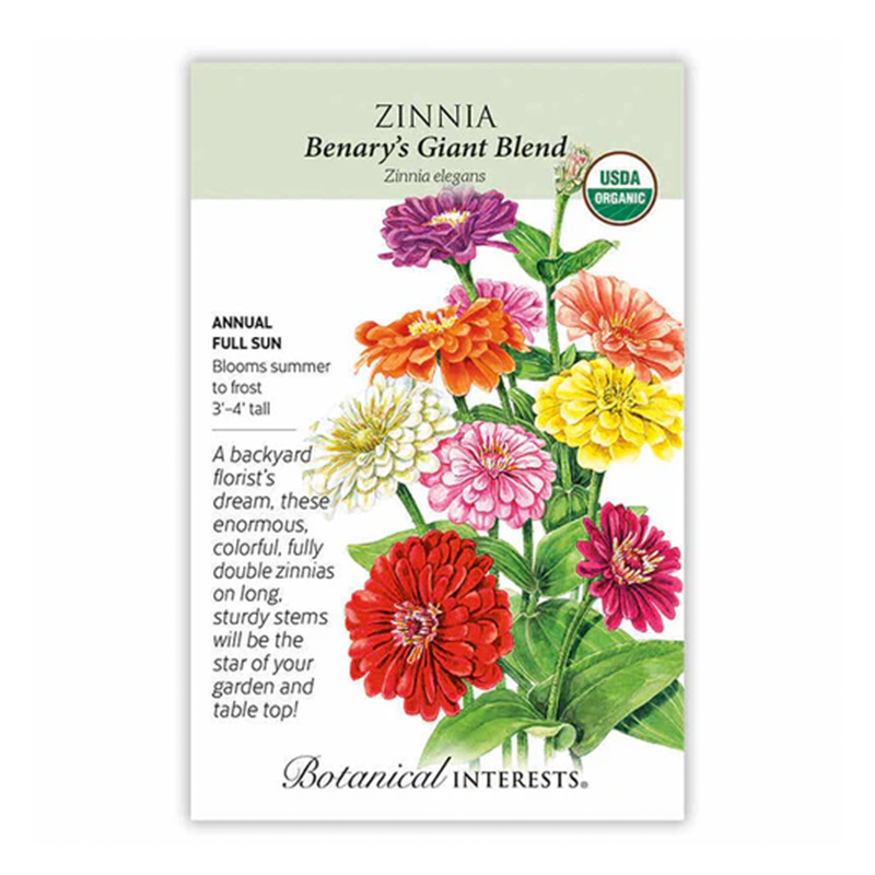 ZINNIA BENARYS GIANT BLEND ORG