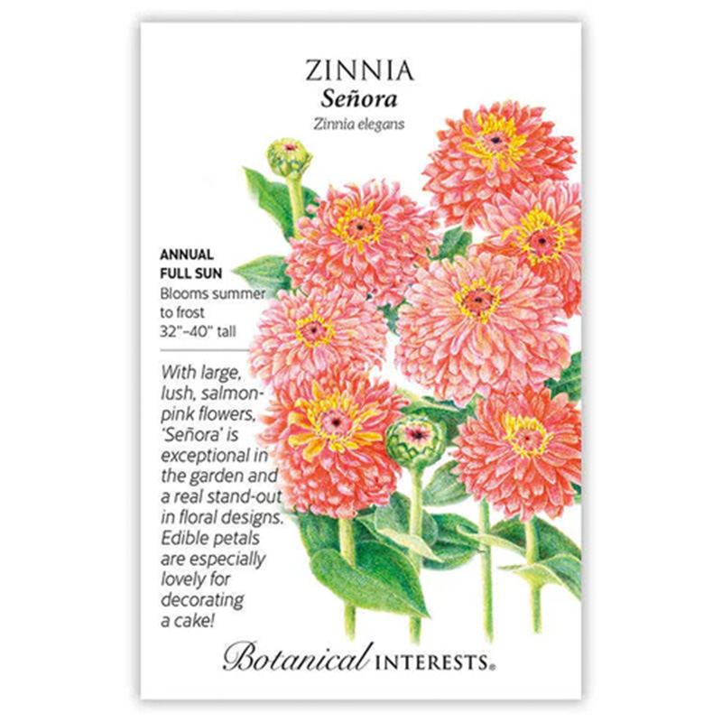 ZINNIA SENORA