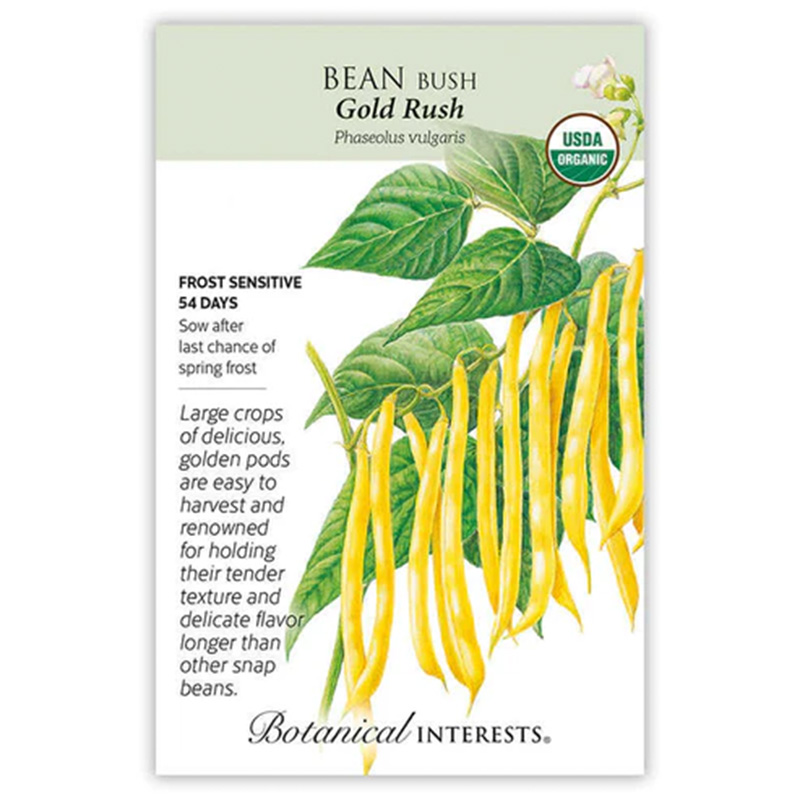 BEAN BUSH YELLOW GOLD RUSH ORG