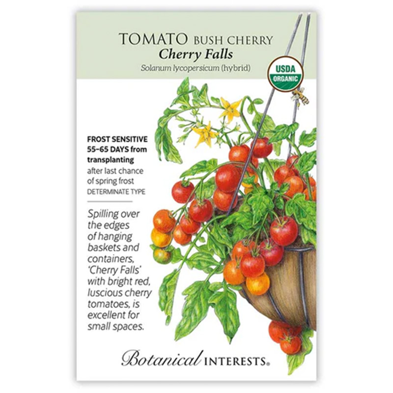 TOMATO CHERRY