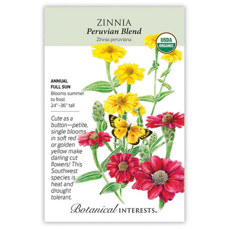 ZINNIA PERUVIAN R/Y
