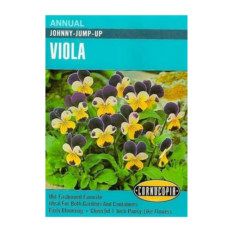 VIOLA JOHNNY JUMP UP