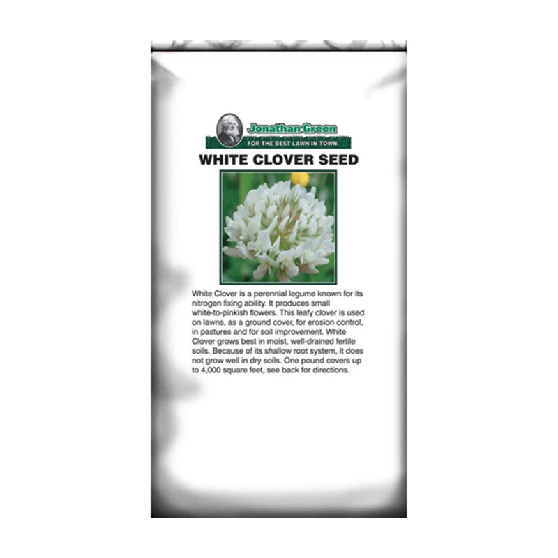 WHITE CLOVER 1 LB