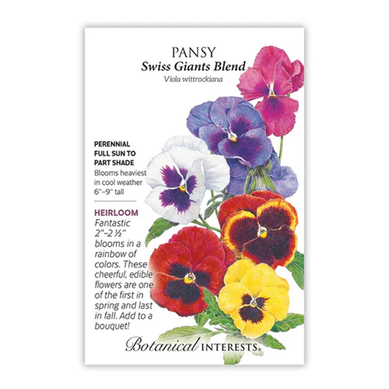 PANSY SWISS GIANTS BLEND