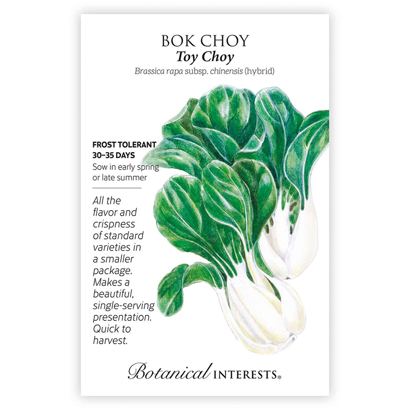BOK CHOY TOY CHOY HYBRID