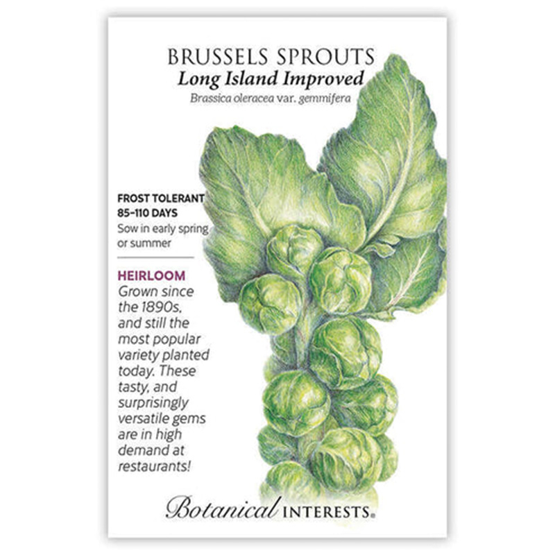 BRUSSEL SPROUTS LONG ISLAND